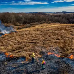 January 2020 (The Wilds)